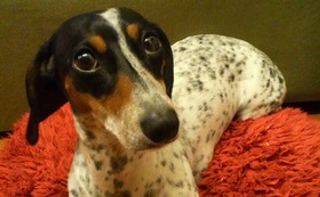 ご支援よろしくお願い致します　1