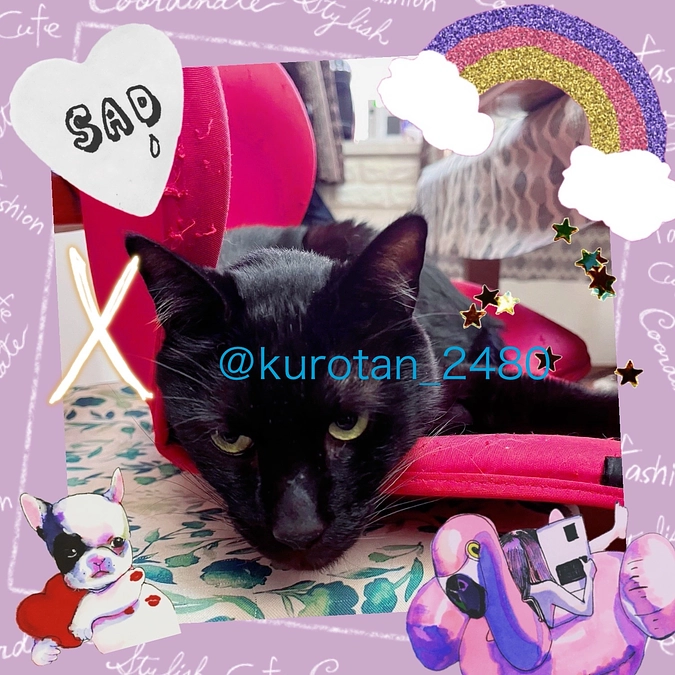 ラストスパートです。