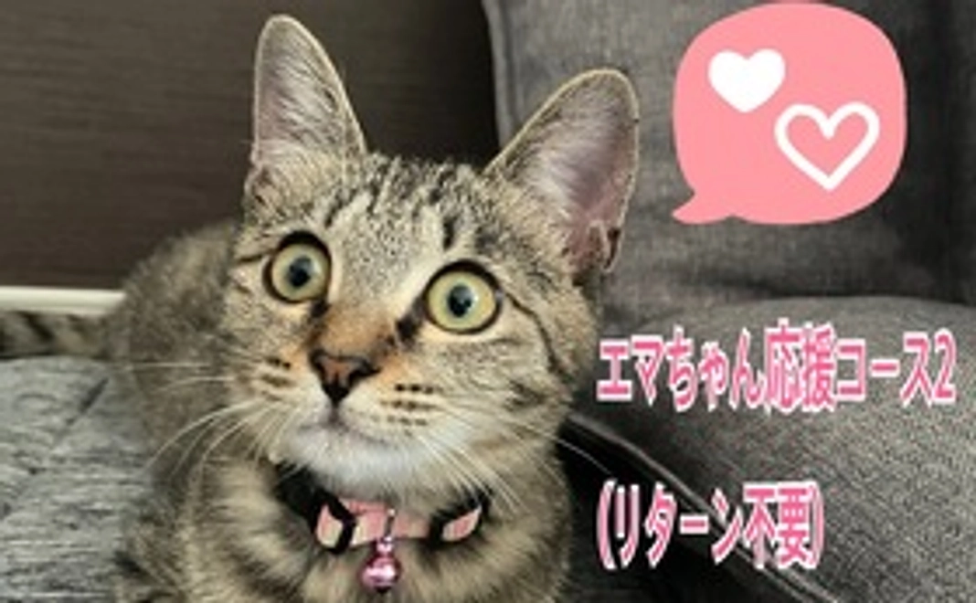 エマちゃん応援コース2(リターン不要)