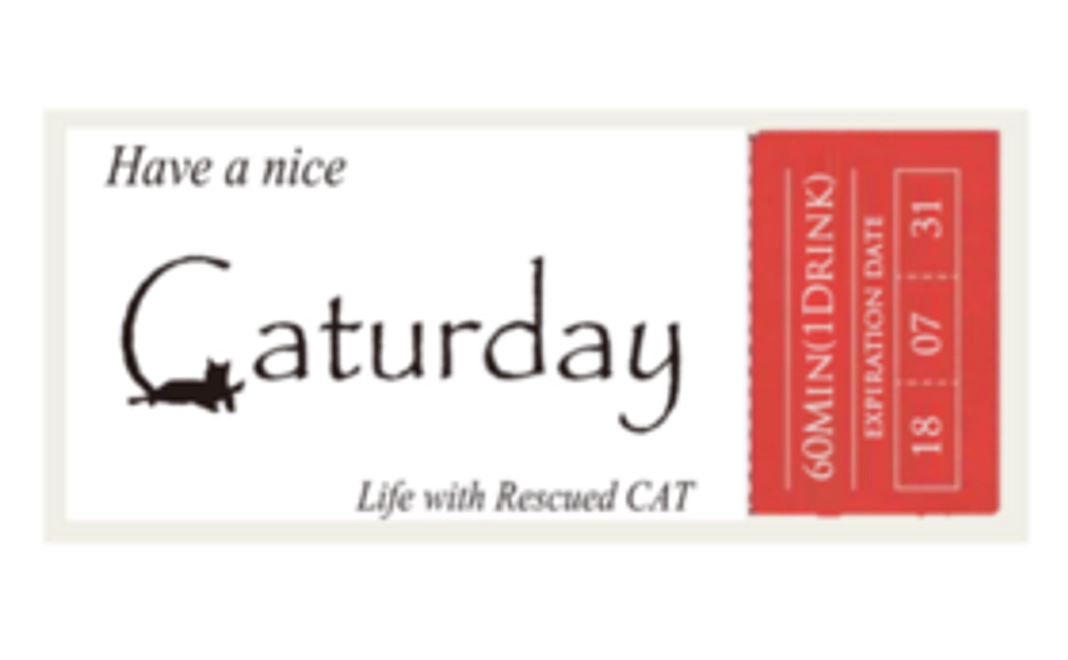 🐱  活動を応援コース