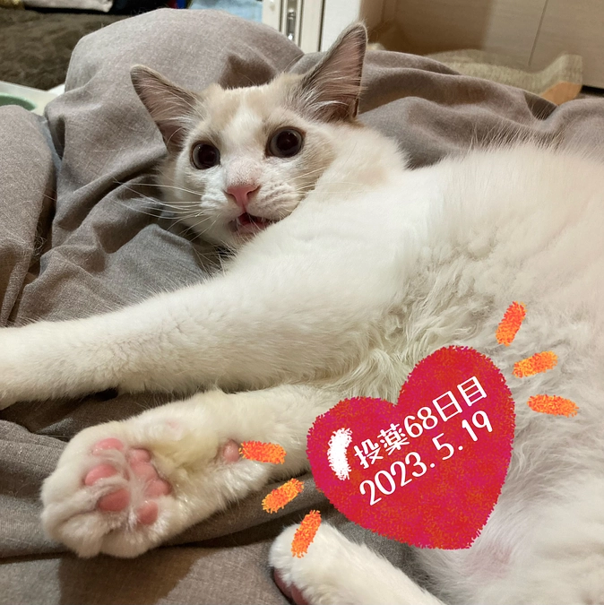 投薬６８日目(2023.5.19)&ご支援のお知らせ