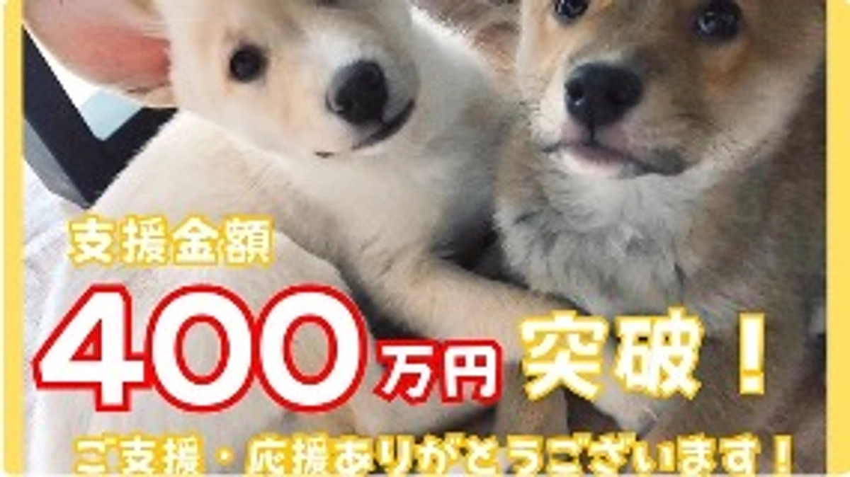 支援者様281名様！支援金額400万円を突破しました！