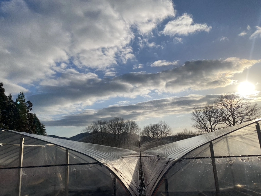 【活動報告㉗】あれから一年が経とうとしています。