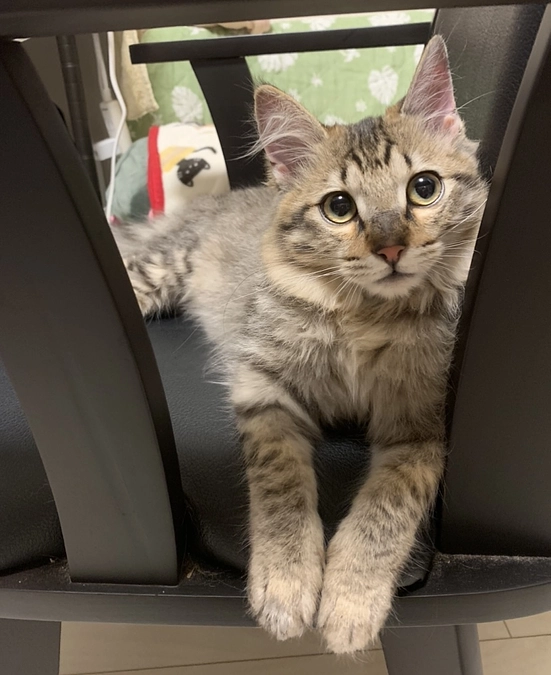 ご支援への感謝と、嬉しかった事＆ちゃむの様子