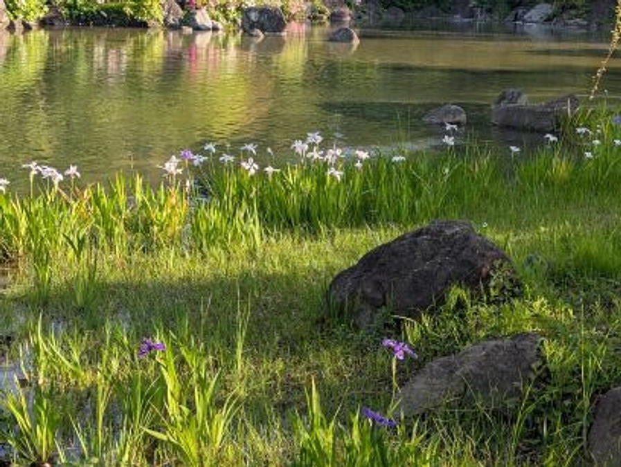 ゴールデンウイーク中盤　今後の活動