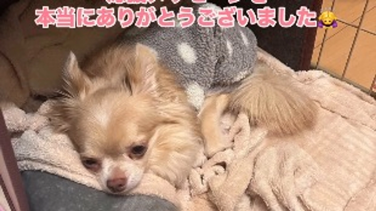 皆様のおかげで達成することが出来ました🙇‍♀️