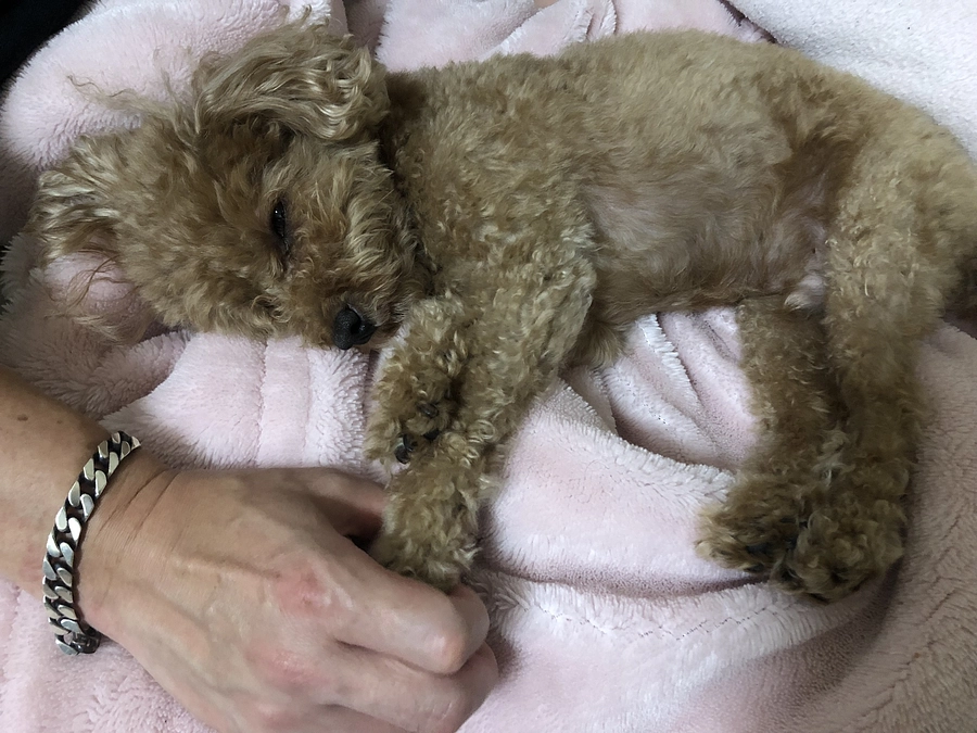 ネクストゴール設定しました。