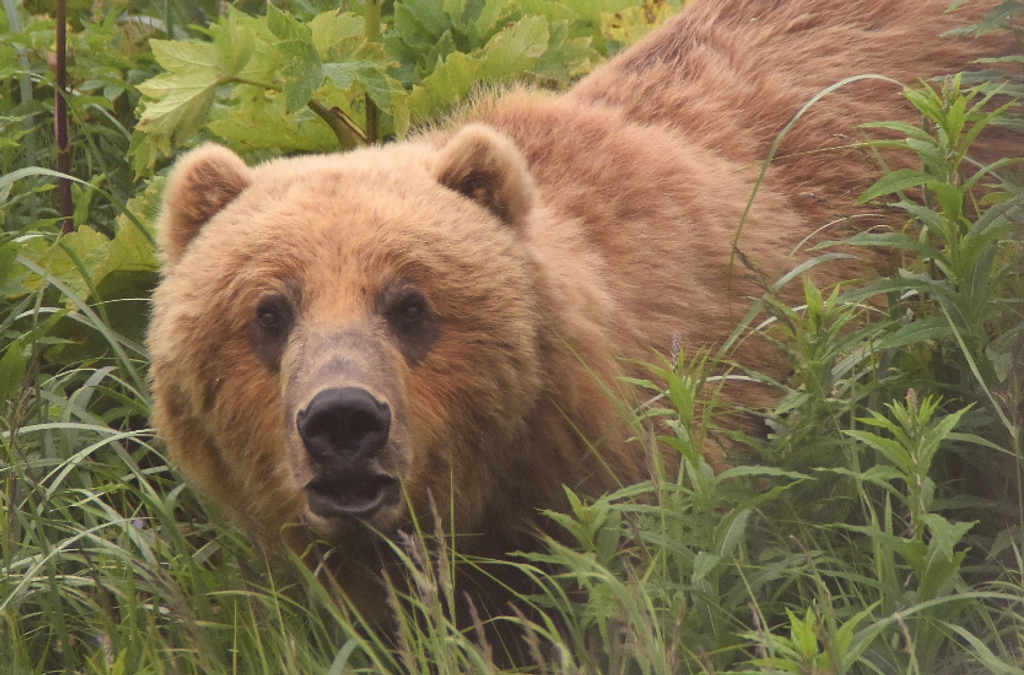 「夢を未来へ――皆さまのご支援に心からの感謝を込めて」