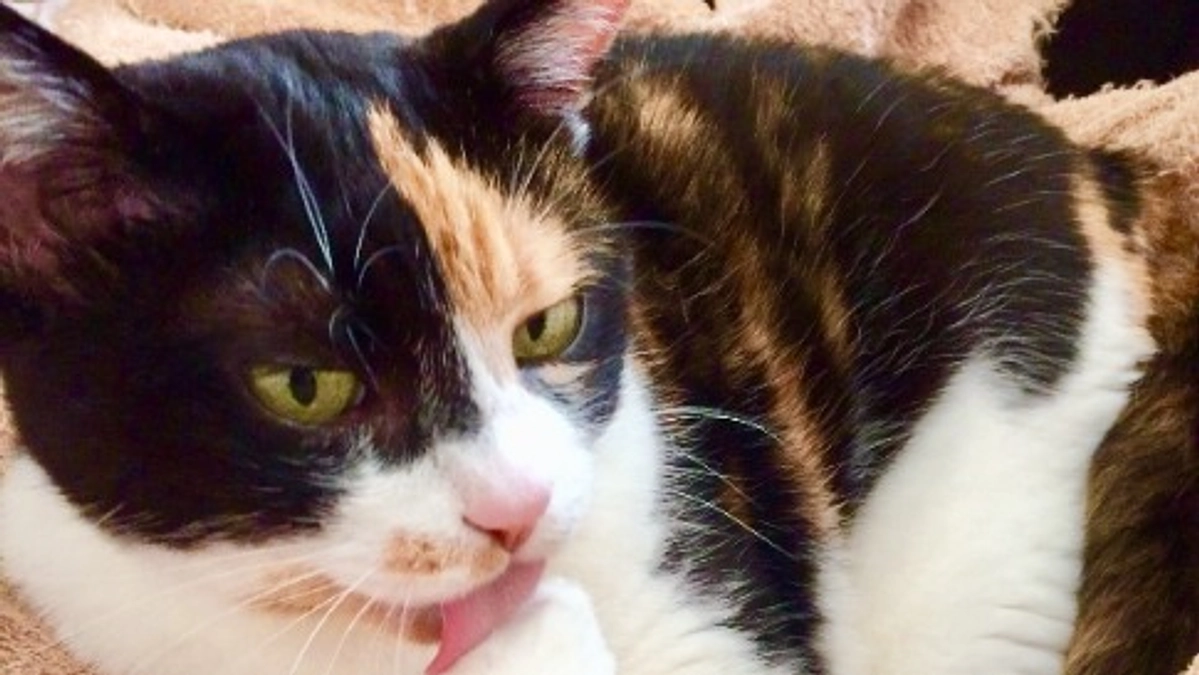 ■活動報告_5：強風の中、病院へ。