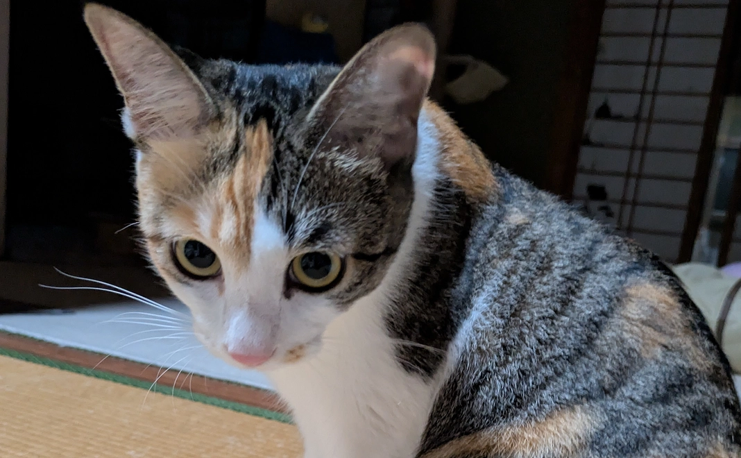 感謝のメール3000