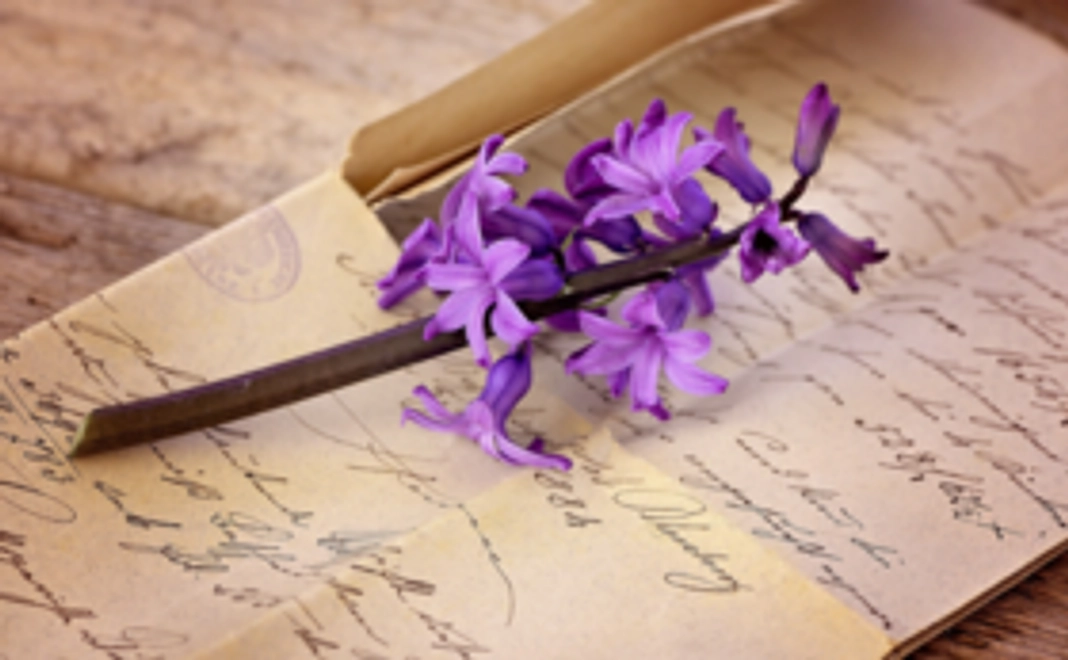 【応援コース】B