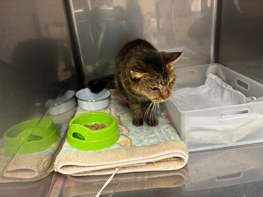 お礼と報告/2024年1月31日