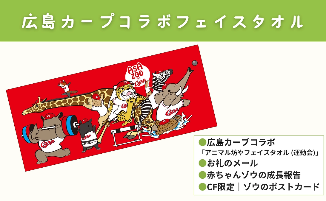 【新リターン追加のご紹介】広島カープコラボフェイスタオル（新井監督の動画も必見です！）