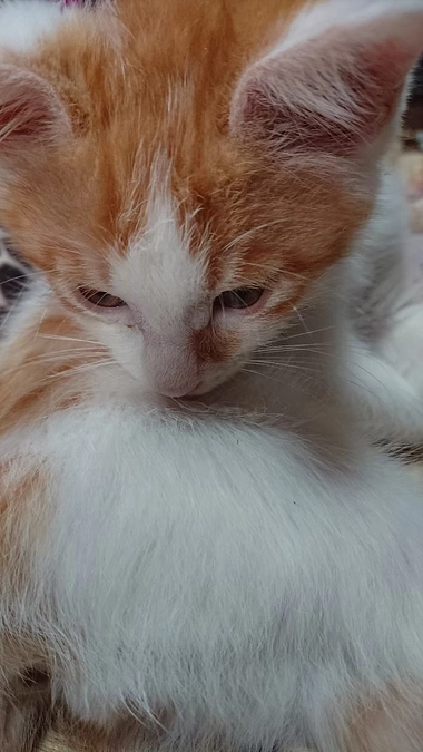 4歳になりました🎉