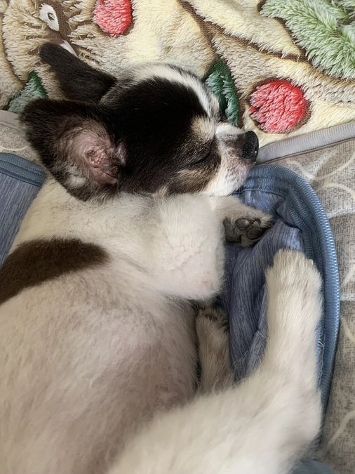 クラファン残り56時間…😣💦💦