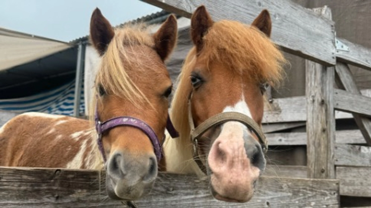 本日もご支援ありがとうございました！