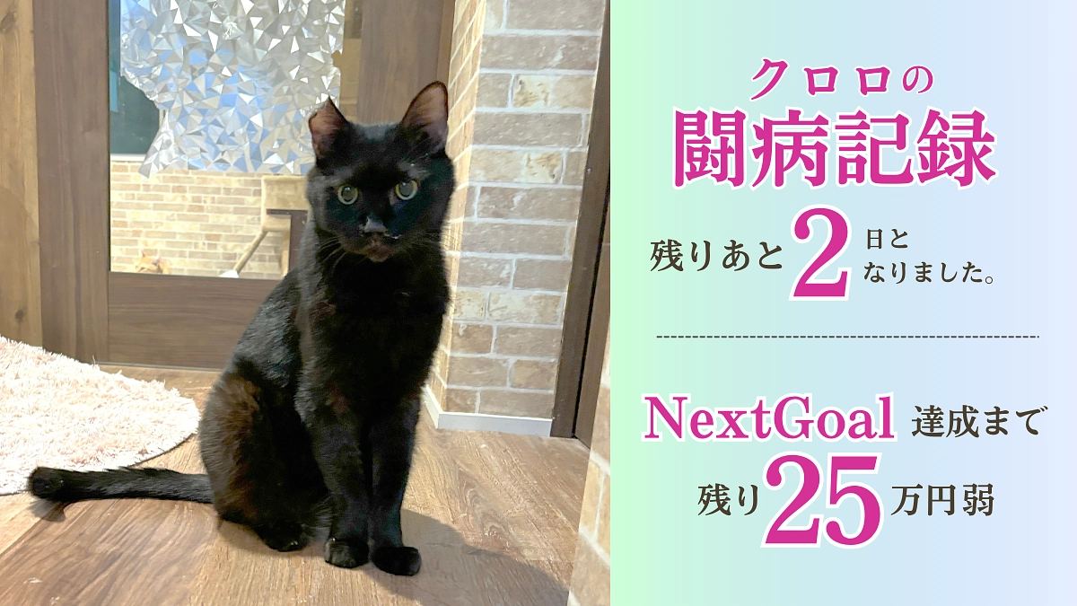 【クロロの記録】極めて稀な「アジソン病」と向き合いながら