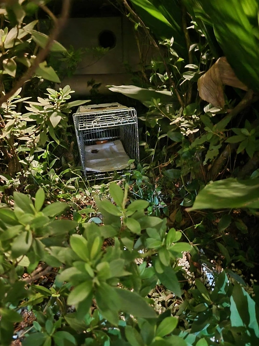 TNRのリターンの際、毎回「頑張れ！」って心からエールを送られる姿に胸を打たれています