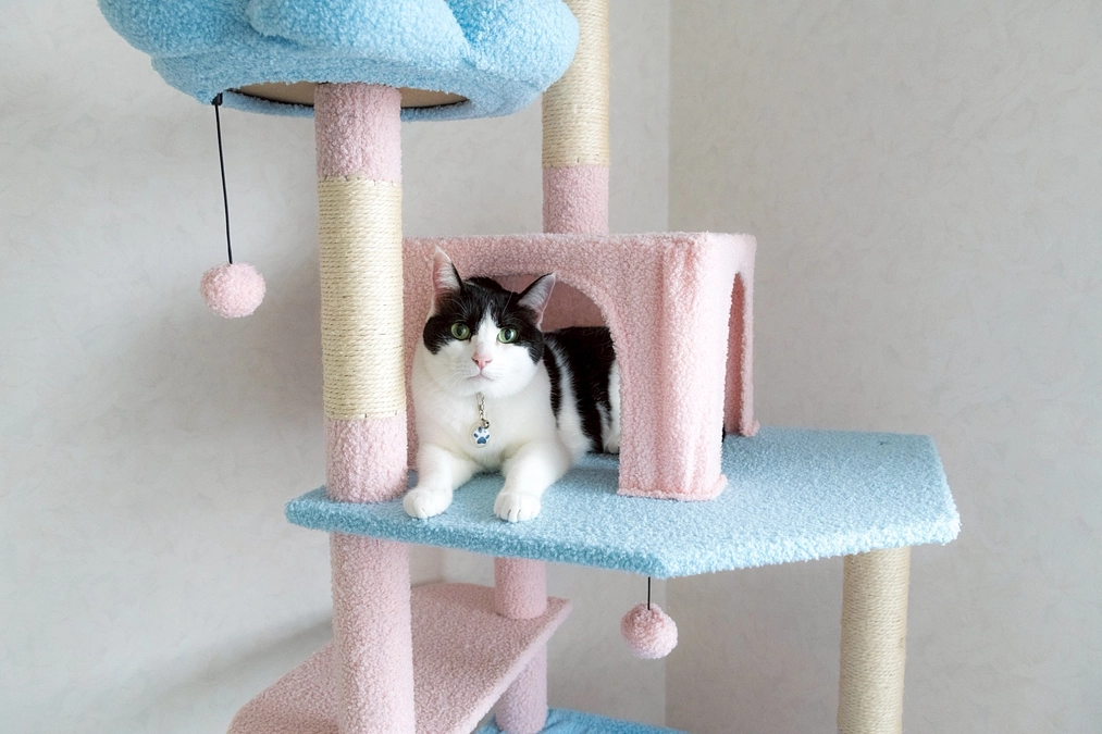 人生初のクラファン。初日が終了しました