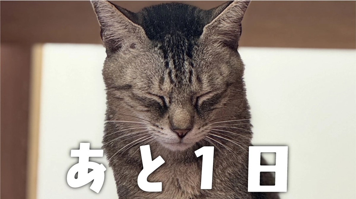 クラファン終了まで、残り１日。