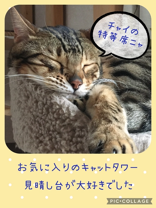 3/26〜4/9までの診療明細のご報告