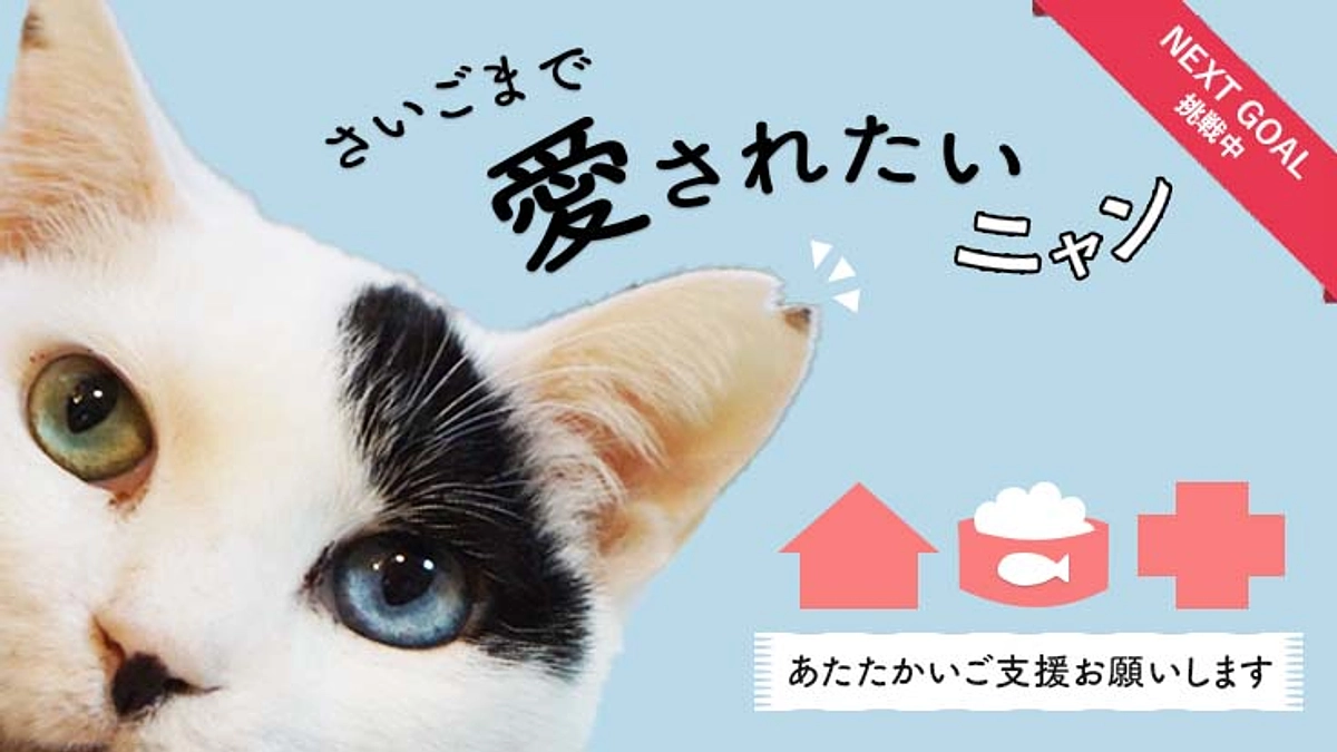 お知らせとお礼２４