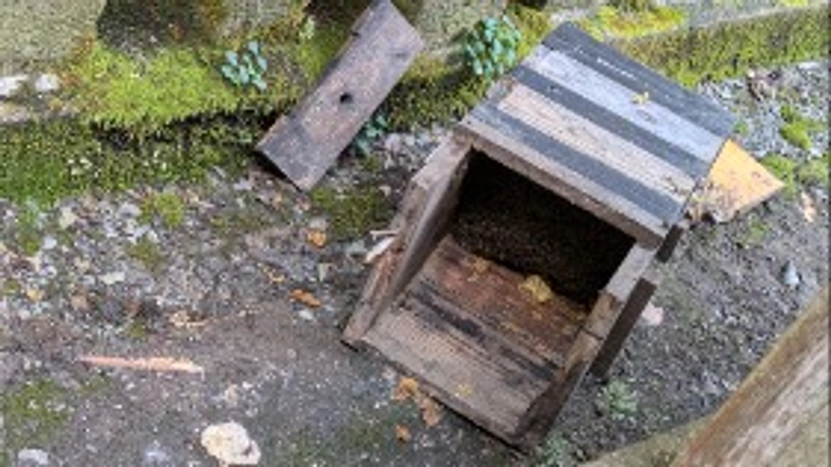 くま出没現場に来ています