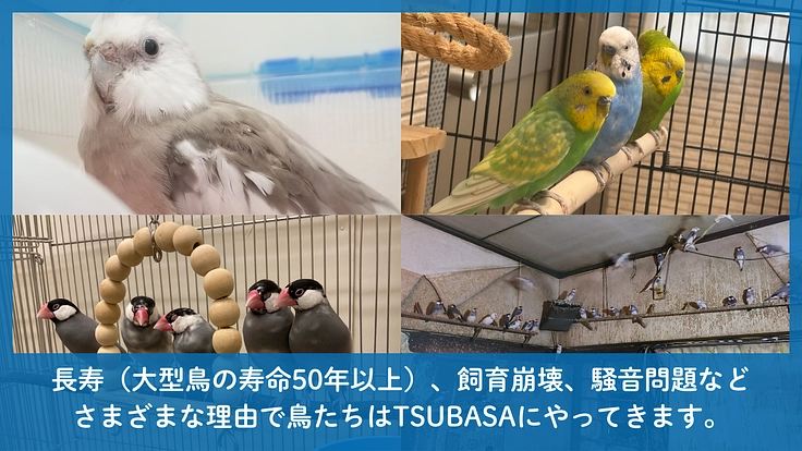 TSUBASA|次の空へ羽ばたく居場所。新拠点への移転にご支援を! 4枚目