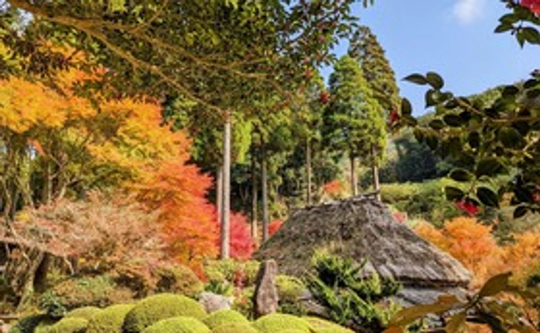 全力応援コースA