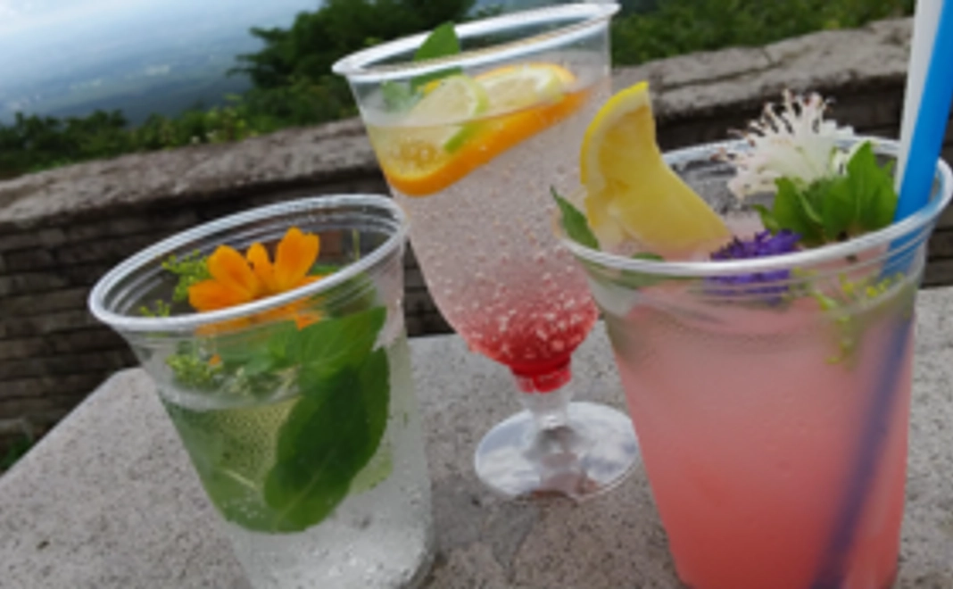 「返礼不要のお気持ち応援コース」コースA3000円