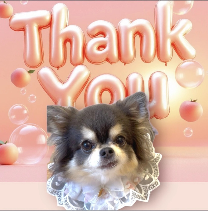 9/13(土)感謝祭 🌸ありがとうございました🌸