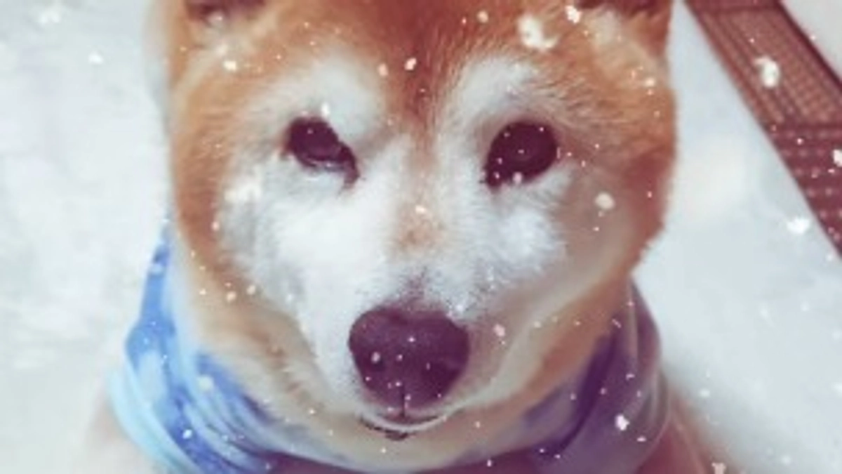 皆さんのあたたかいご支援