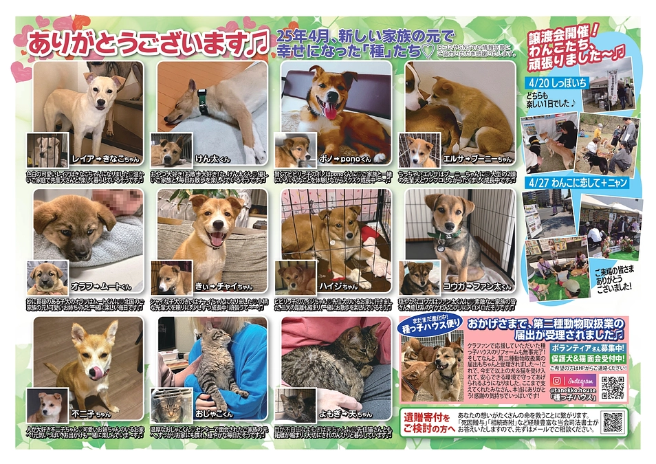 種っこ通信【Newsletter vol.81】近況ご報告♡