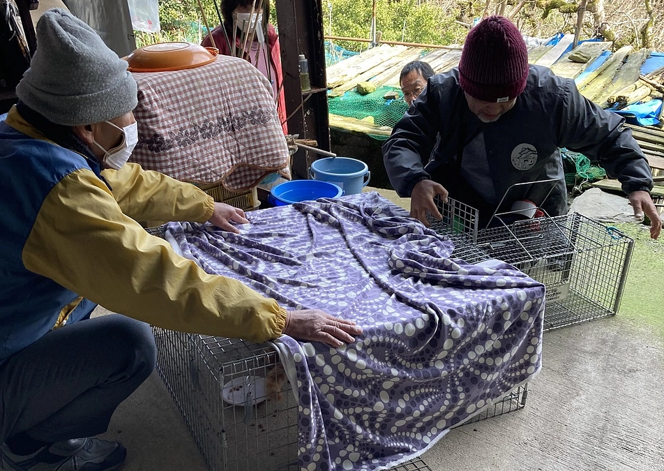 城下町にゃんこの会　TNRアシストメンバーのご紹介