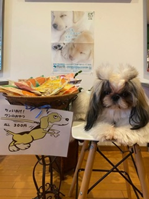 ドッグラン設営に関して報告