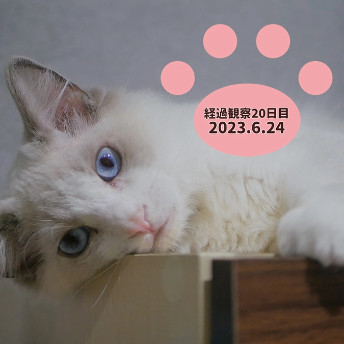 経過観察20日目(2023.6.24)