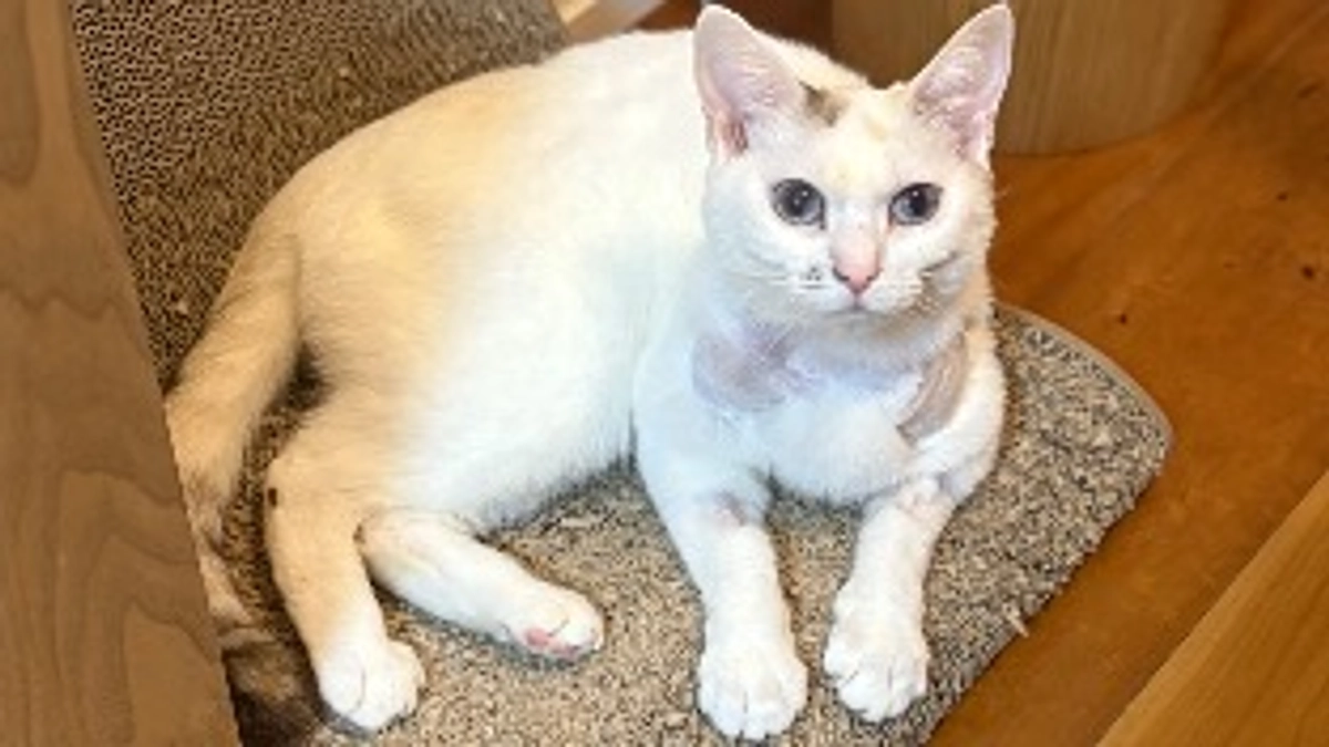 ご支援者が30名超えました、ありがとうございます！引き続きよろしくお願い致します。