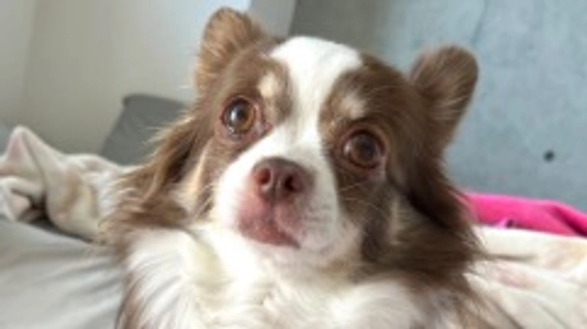 インターネットでの操作が苦手な方からの、代理支援について。