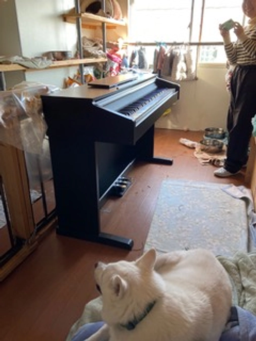 犬猫と共に暮らす喜びを歌で拡げ、一人ひとりの心から殺処分０に!!ピアノを置いた理由がここにあります。