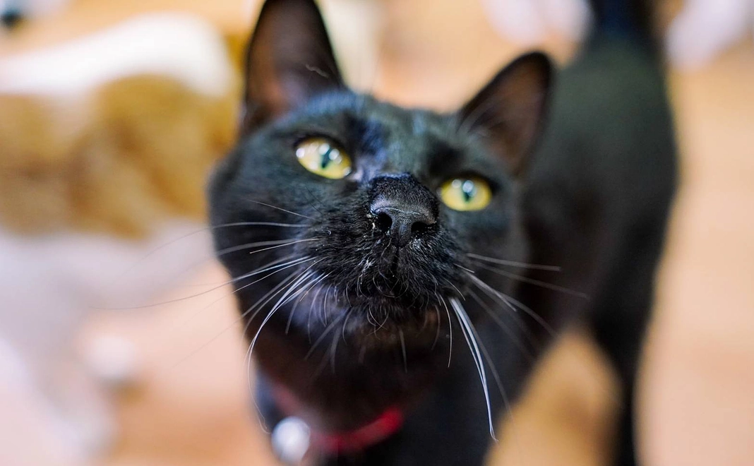 1,000円コース‼感謝のメールを送らせていただきます‼