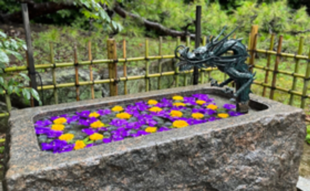 5,000円コース：6支援毎に花手水1か所実施