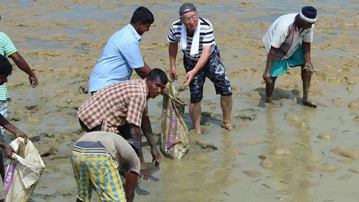スリランカの未来のため エビ養殖場の水質改善プロジェクト発足！