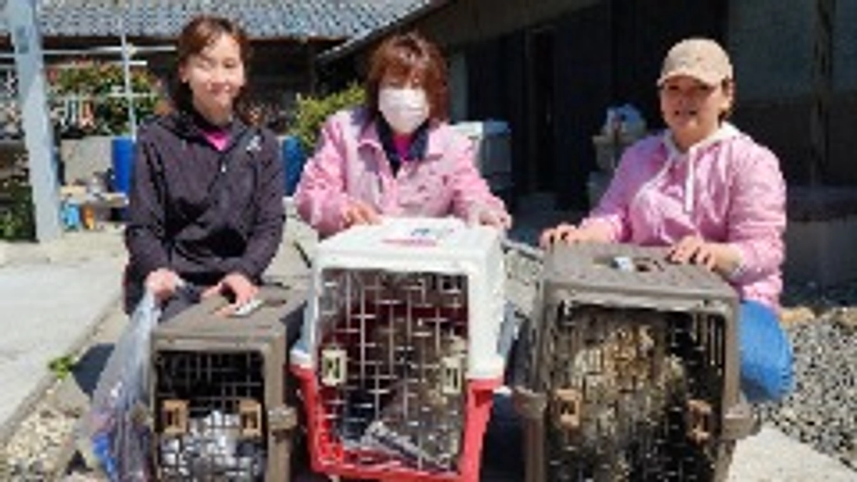 令和5年度活動報告