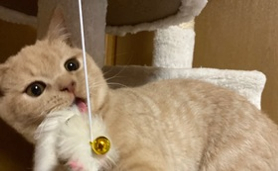 乃々のお気持ち♡ No.2