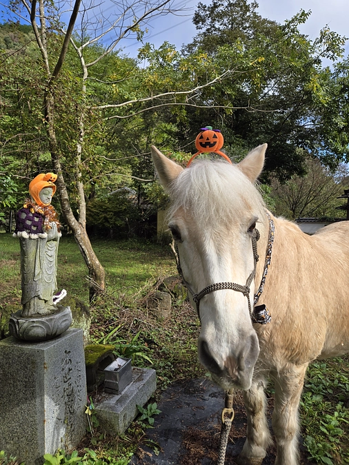 【ついにあと１日！ラストスパート！！】想いは巡る、というお話。