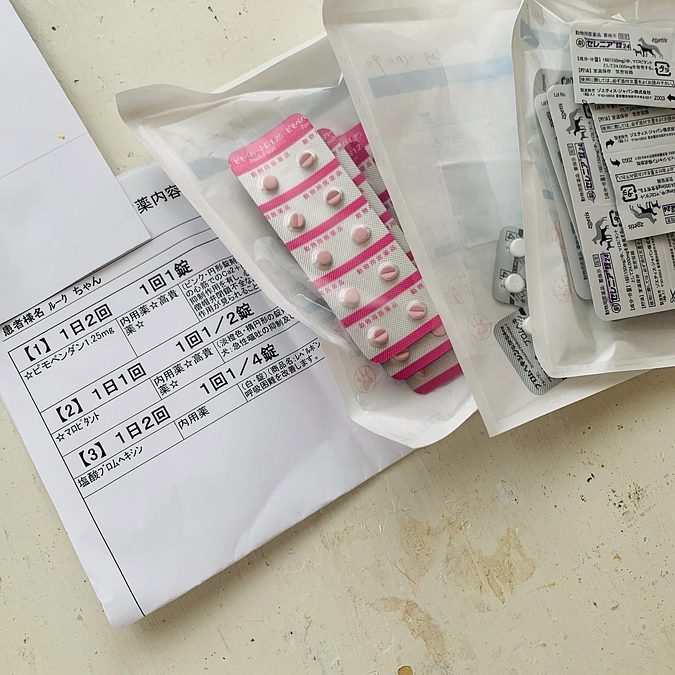 2ヶ月後の検診に行きました