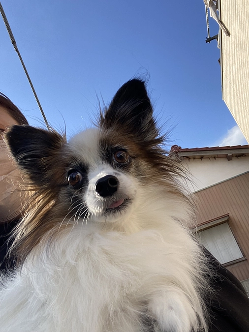 🆘残り12時間🆘