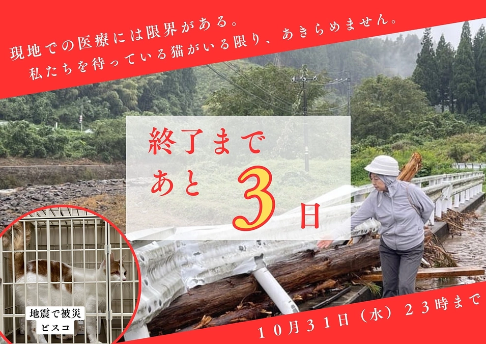 動物の救援は動物だけのもの？動物を助けることは、人をたすけることでもあるのです。