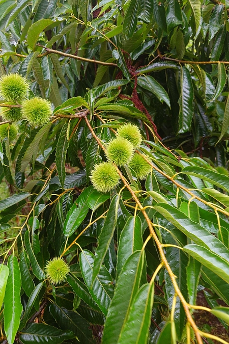 締め切りまで残り23日！！