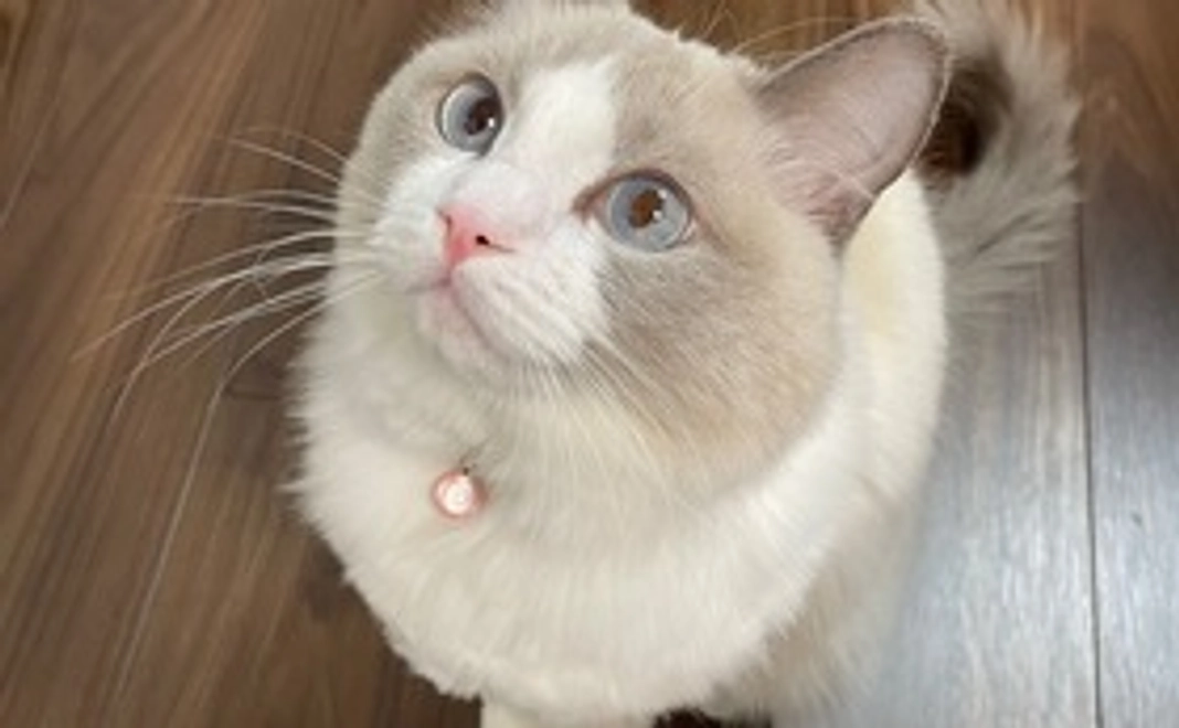 頑張れそらまる!! ２